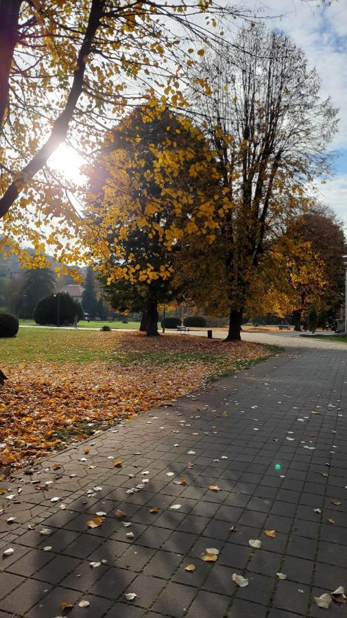 Apartman Mila, Banja Koviljača Esterno foto